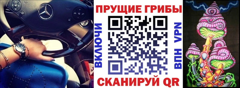 Купить закладки Суровикино Галлюциногенные грибы мицелий